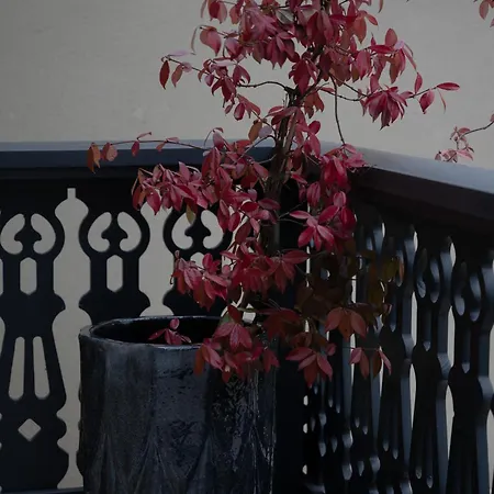 Liska Hébergement de vacances *