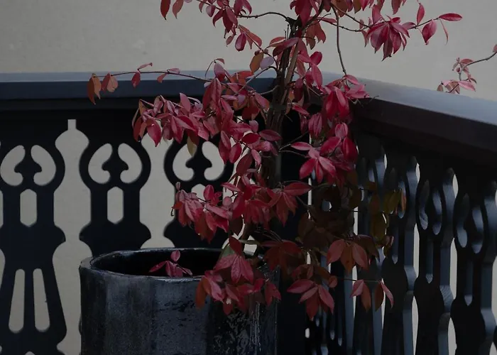 Liska Prázdninový dům *